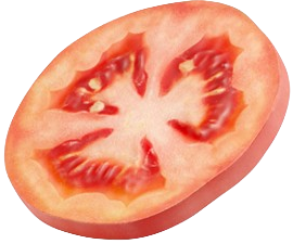 Tomato
